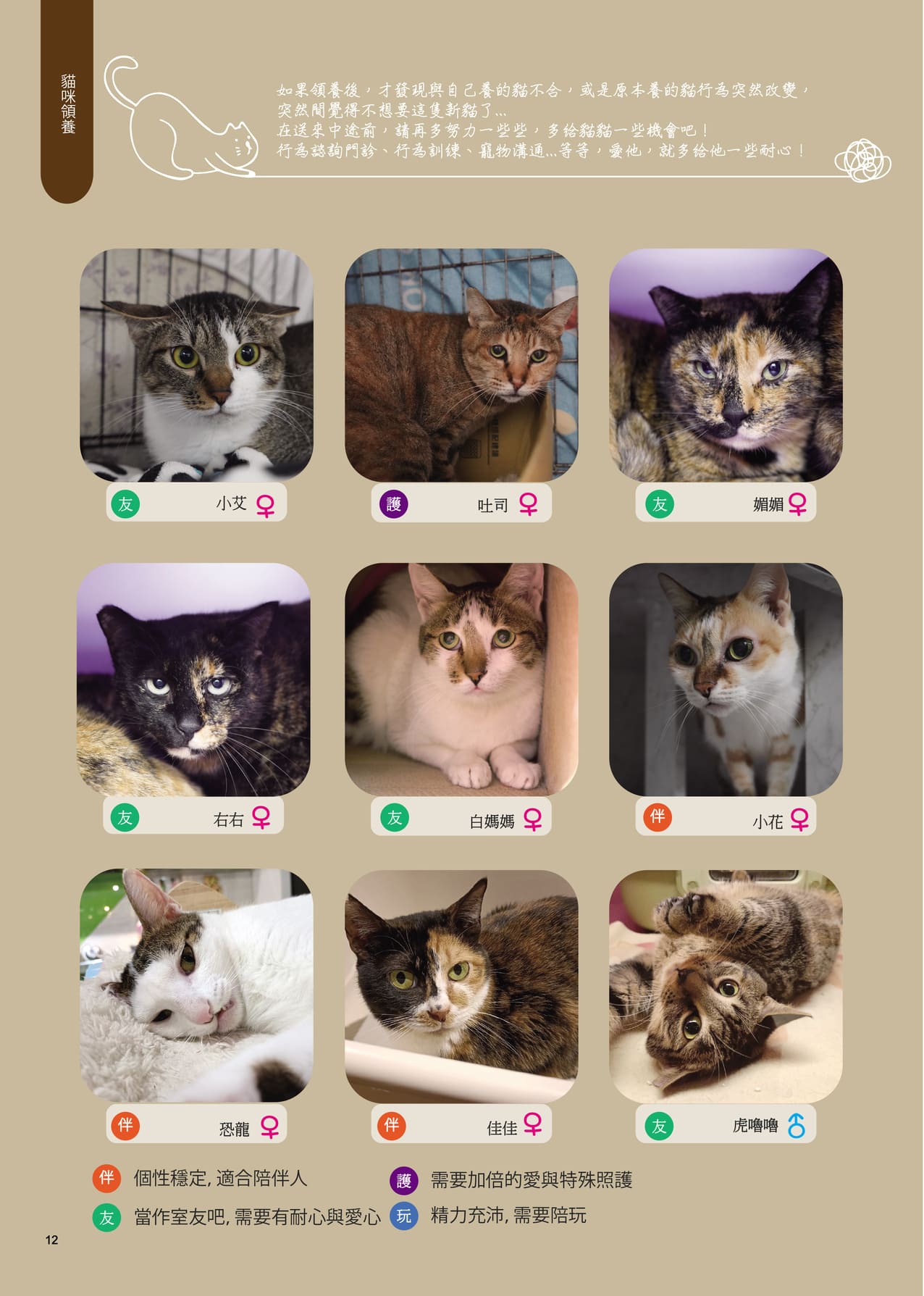 MixPaper11 14