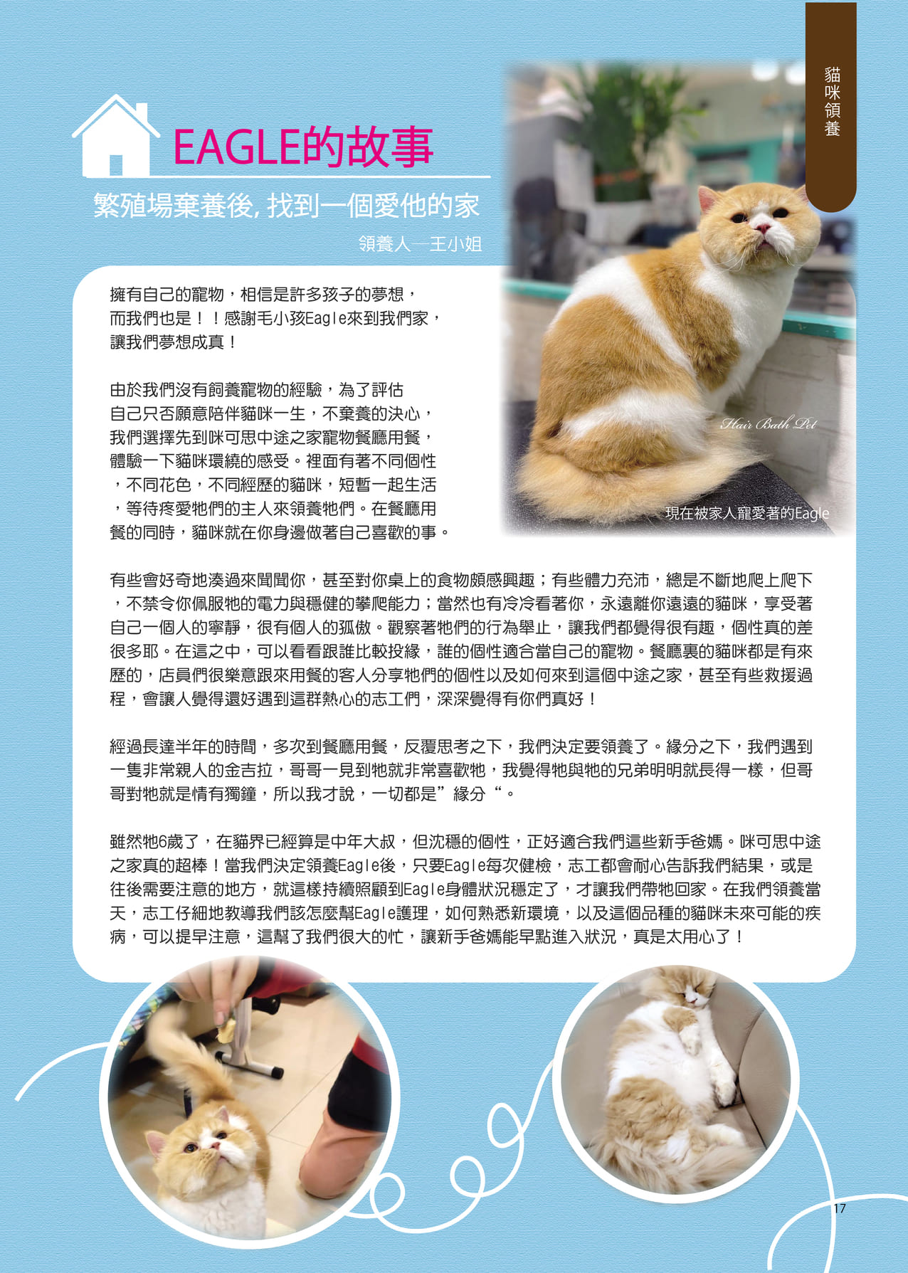 MixPaper11 19