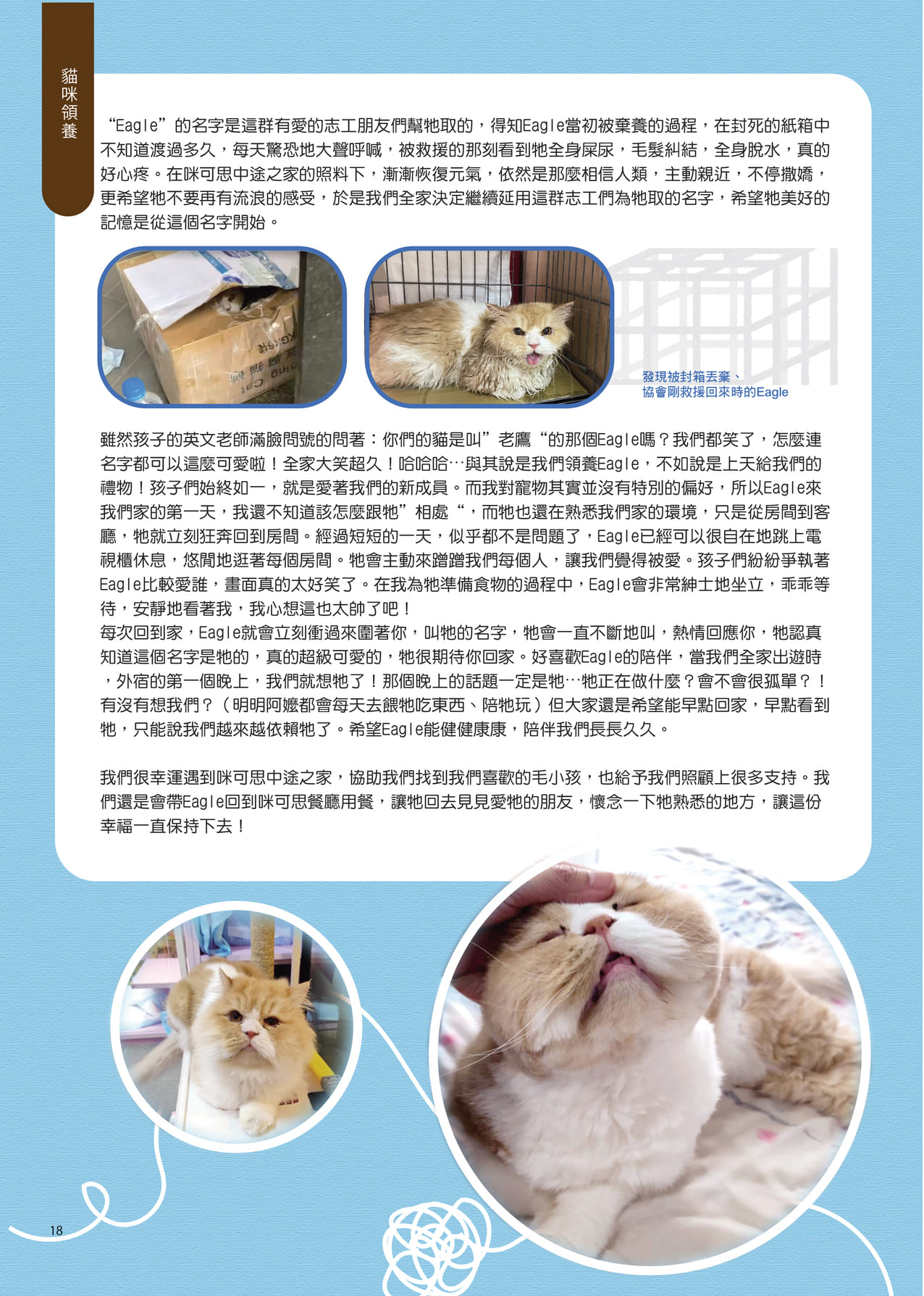 MixPaper11 20