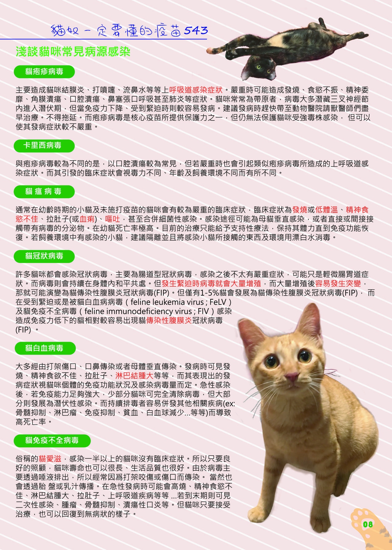 第三期 11