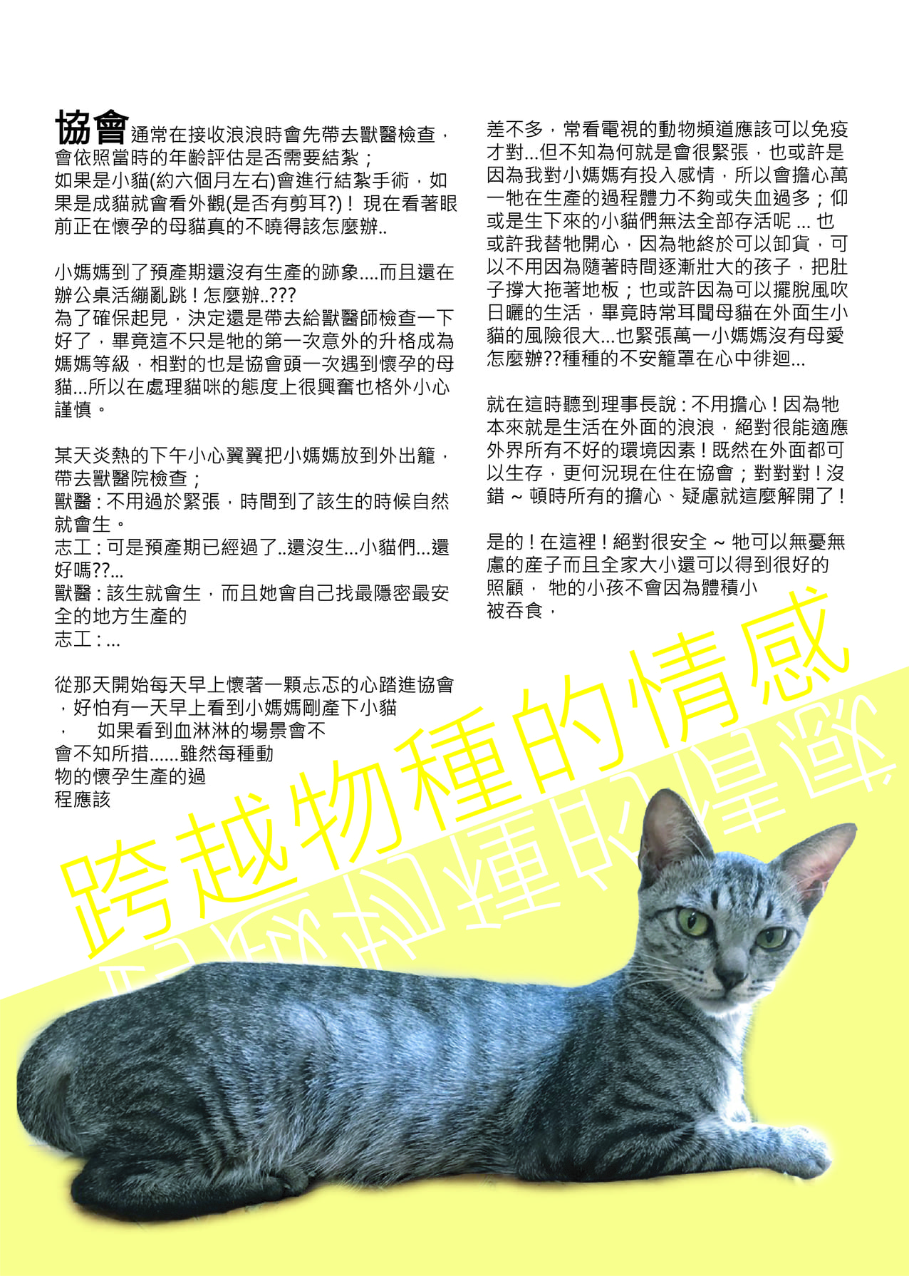 第二期 08