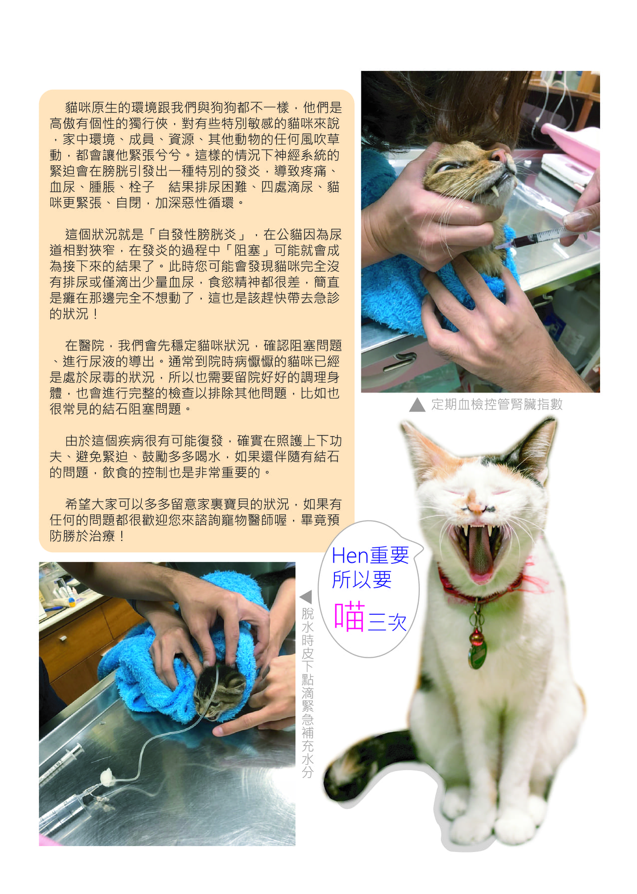 第二期 15