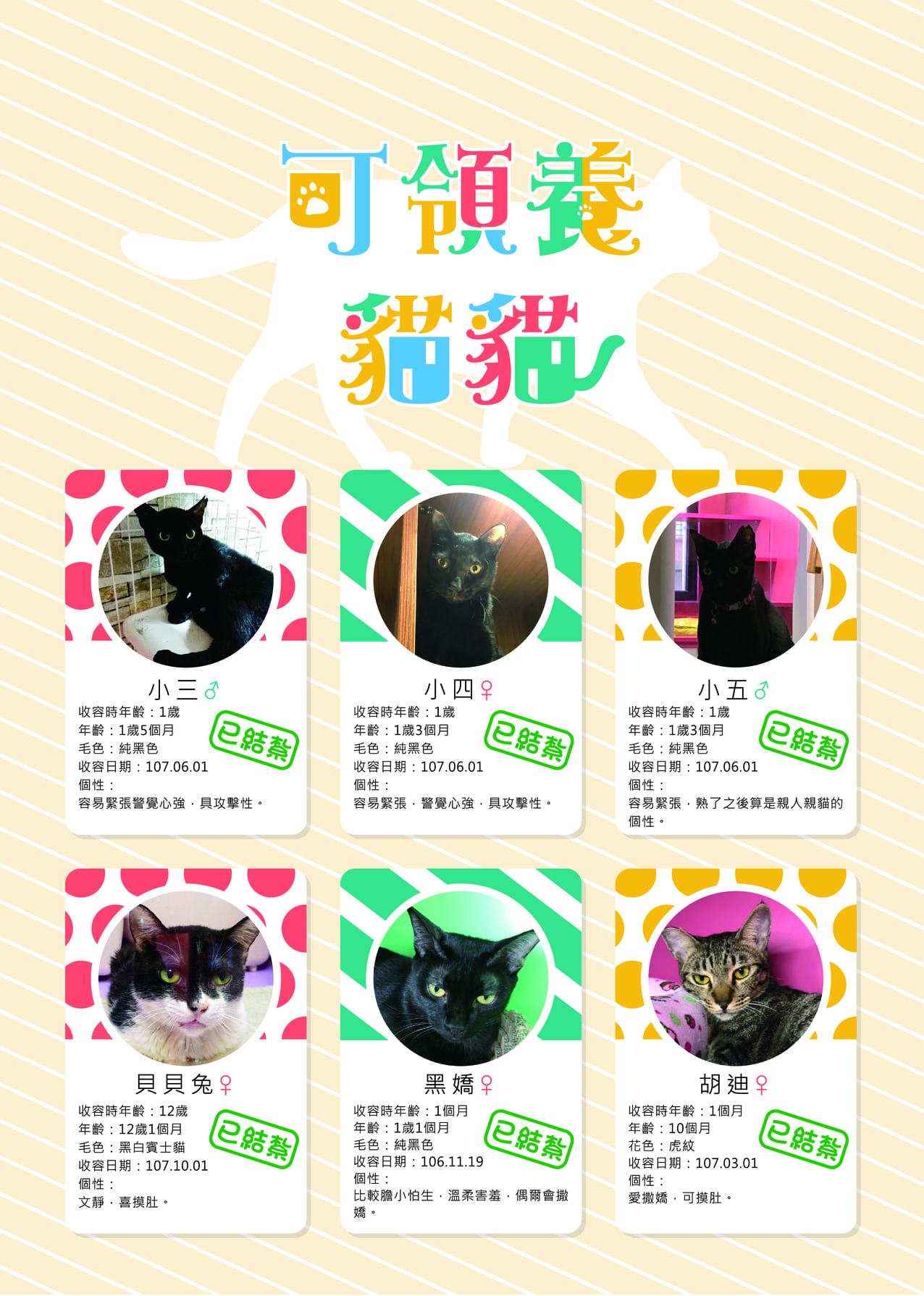 第二期 20
