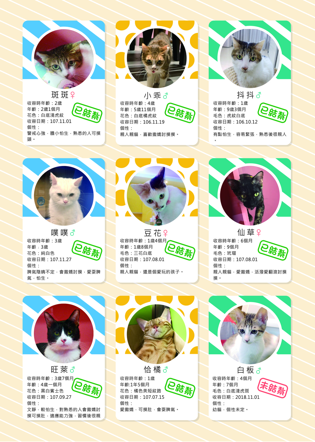 第二期 21
