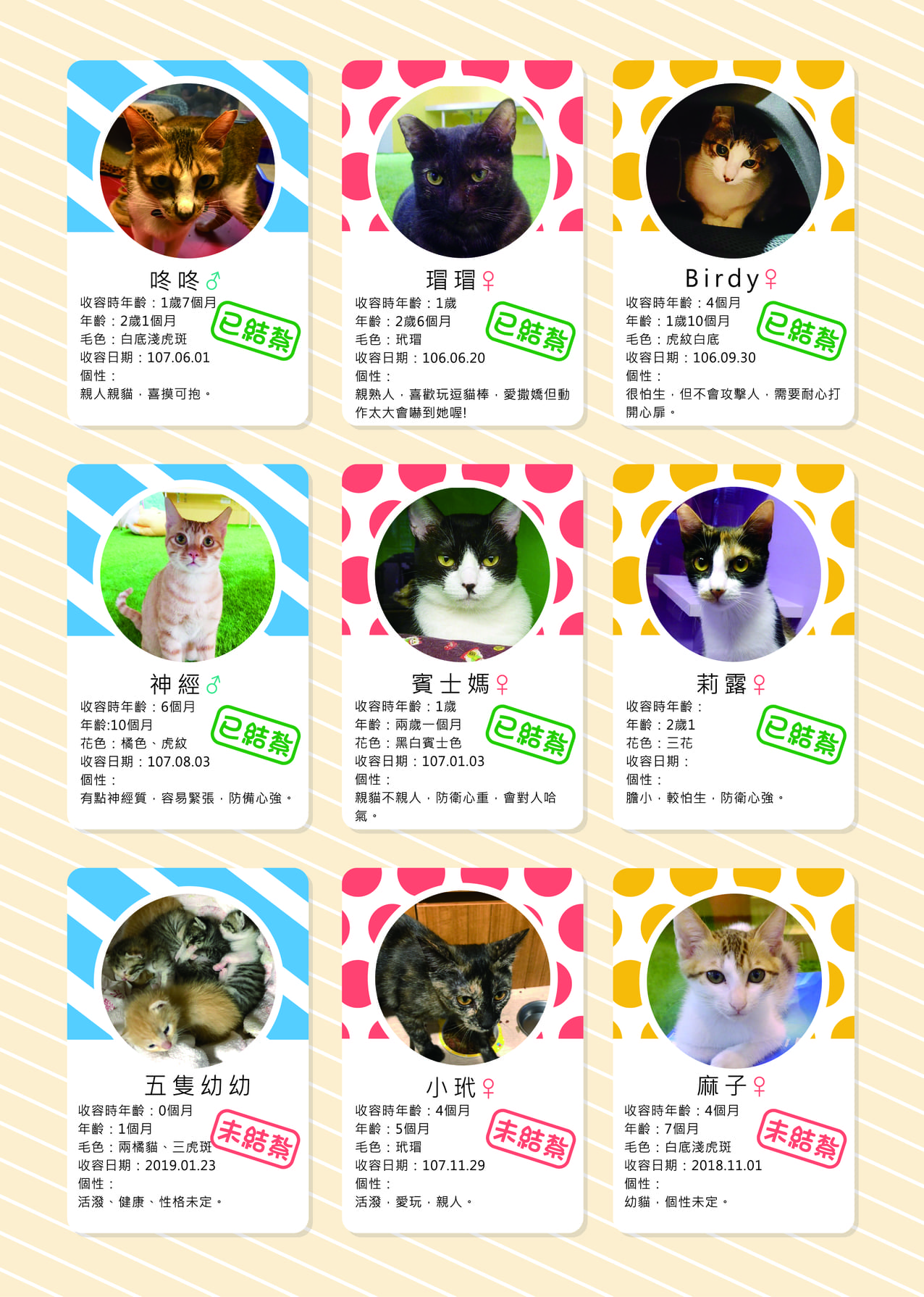 第二期 22