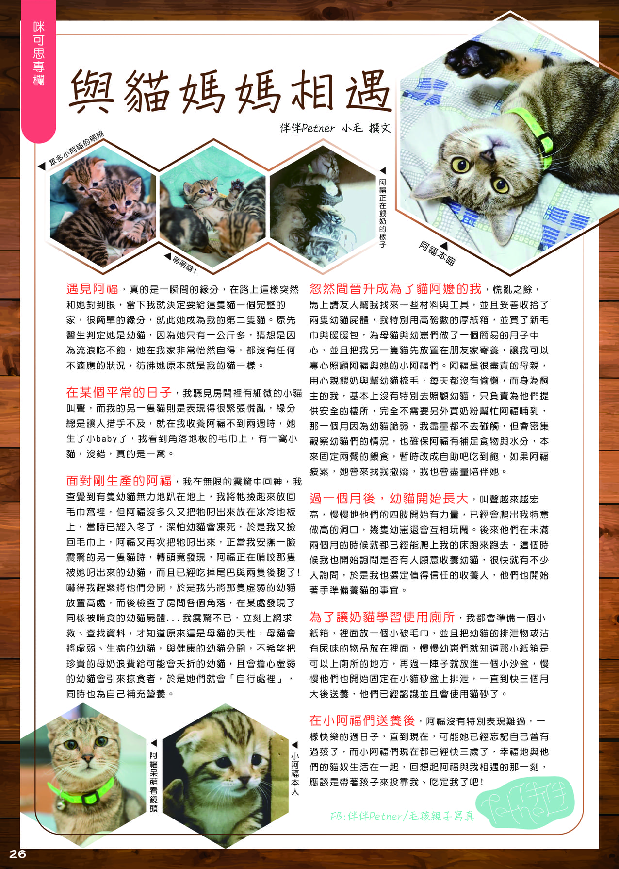 第十期咪可思會訊 P28