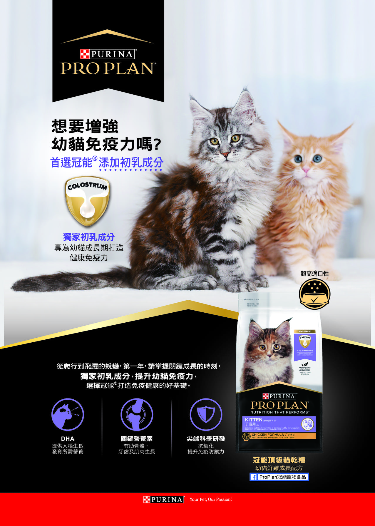 第十期咪可思會訊 P29