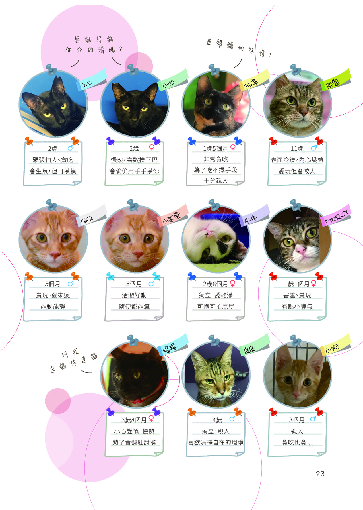 第四期 25