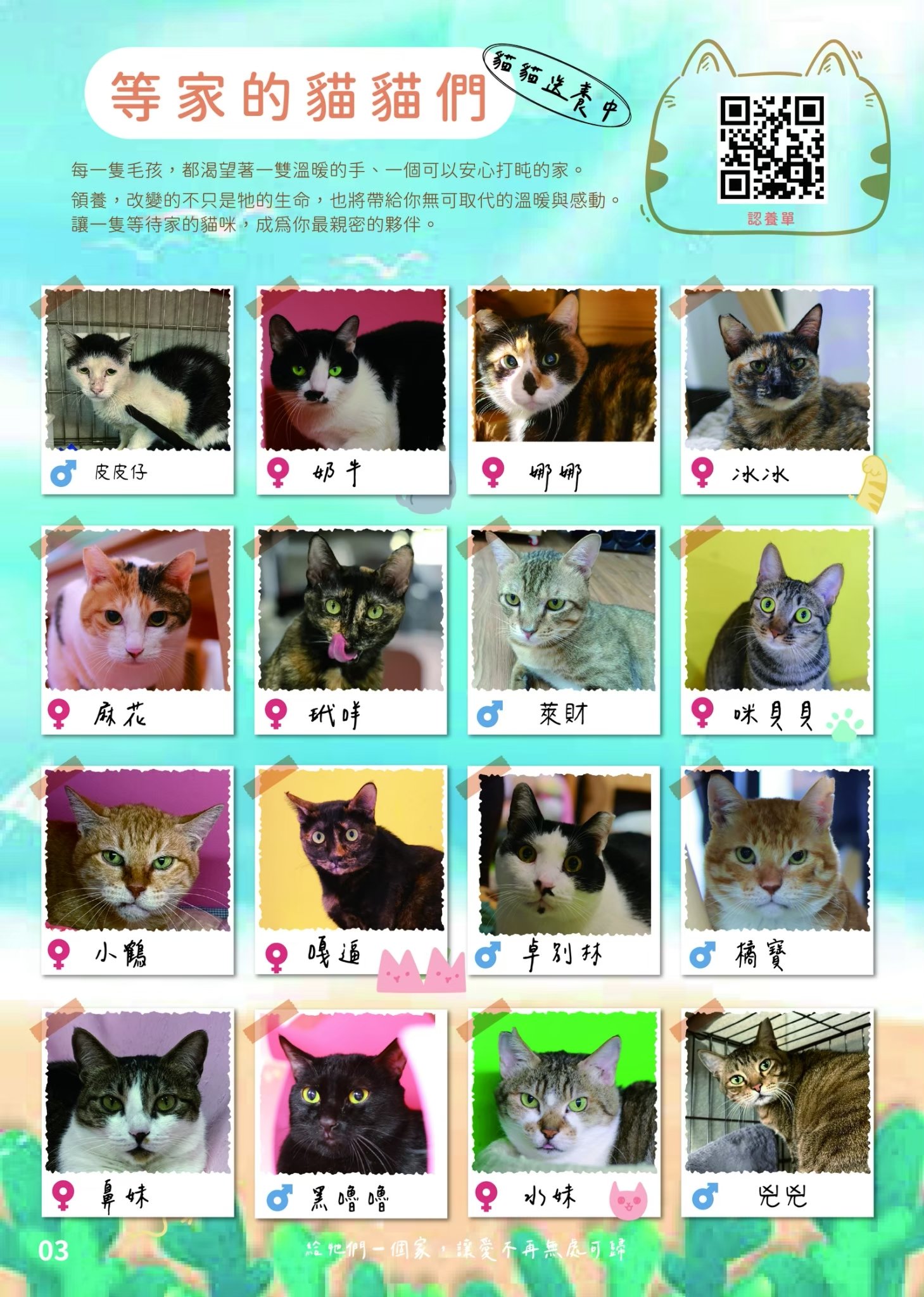 LINE ALBUM 第22期 260818 4