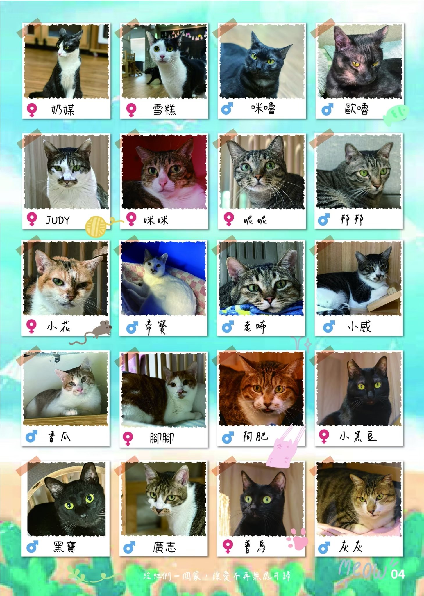 LINE ALBUM 第22期 260818 5
